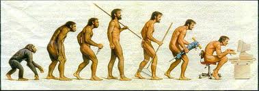 Human evolution